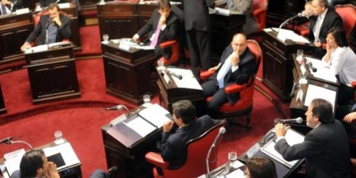 El Senado convirtió en Ley el límite a las reelecciones indefinidas en la Provincia