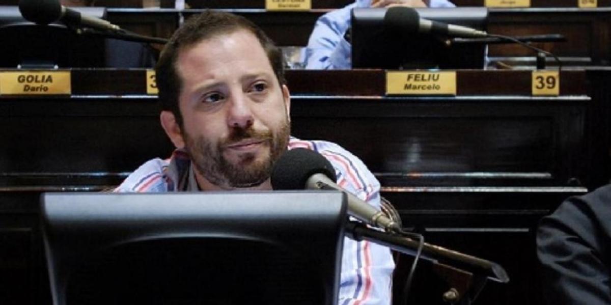  Ottavis dejó de lado el show y volvió a su rol de diputado con un pedido a Vidal 