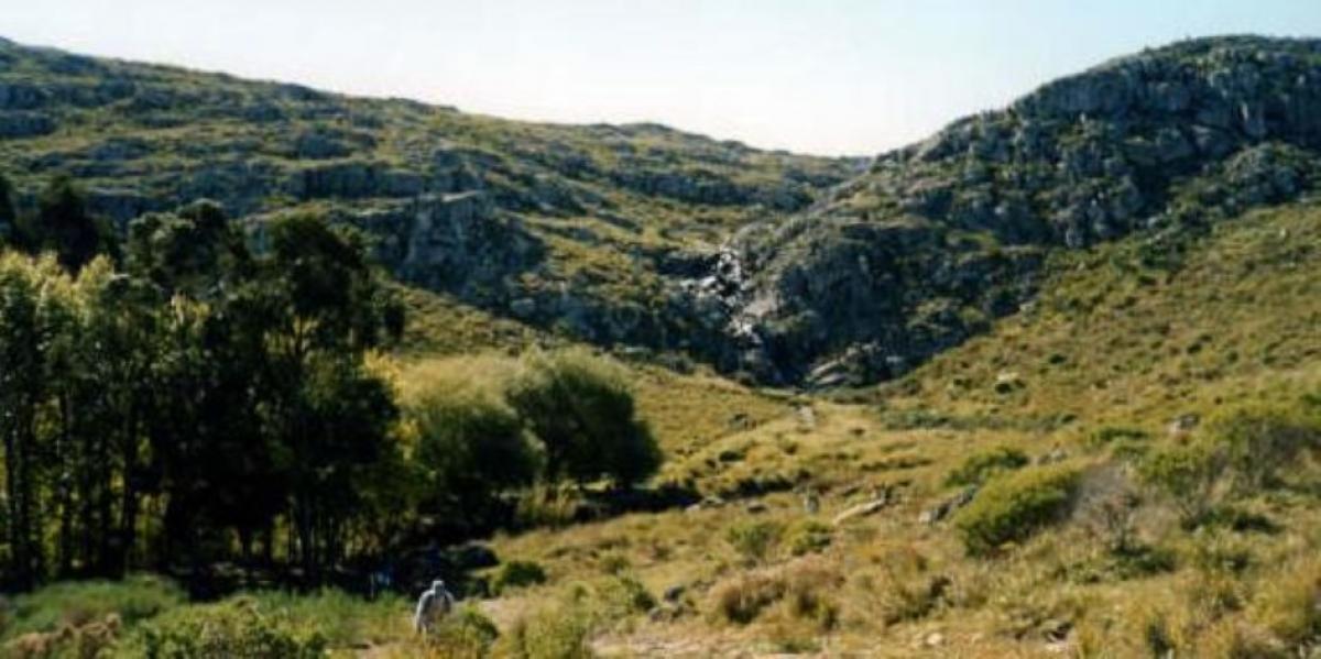 Turismo en primavera lugares de la Provincia para escapar de la rutina