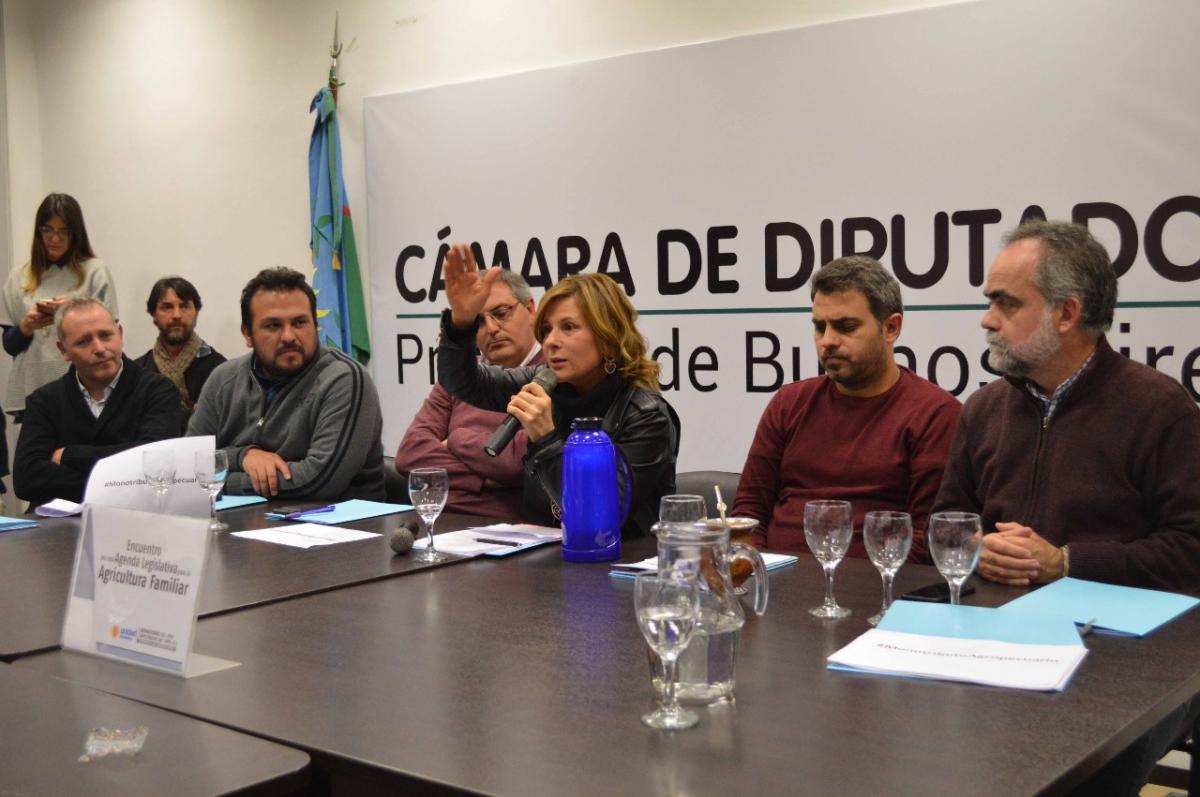 La diputada Saintout denunció penalmente a Vidal por asociación ilícita
