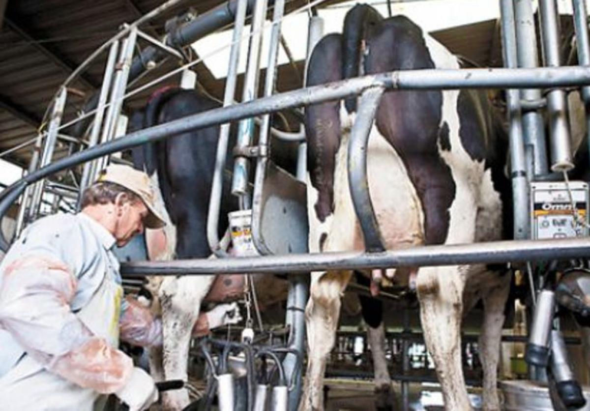 Tamberos preparan movilización y Sarquís desembarca en Junín para calmar las aguas
