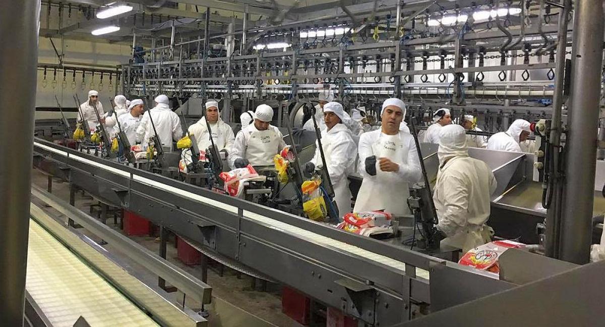 Trabajadores de “Cereales 3 Arroyos” piden la intervención de Provincia para reactivar la planta