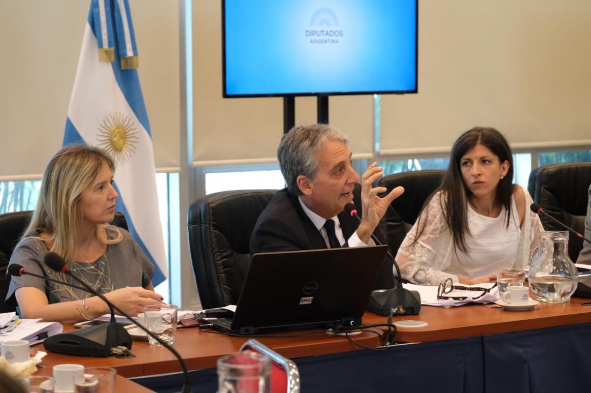 El equipo de Guzmán defendió el proyecto de deuda en Diputados y el Frente de Todos consiguió dictamen
