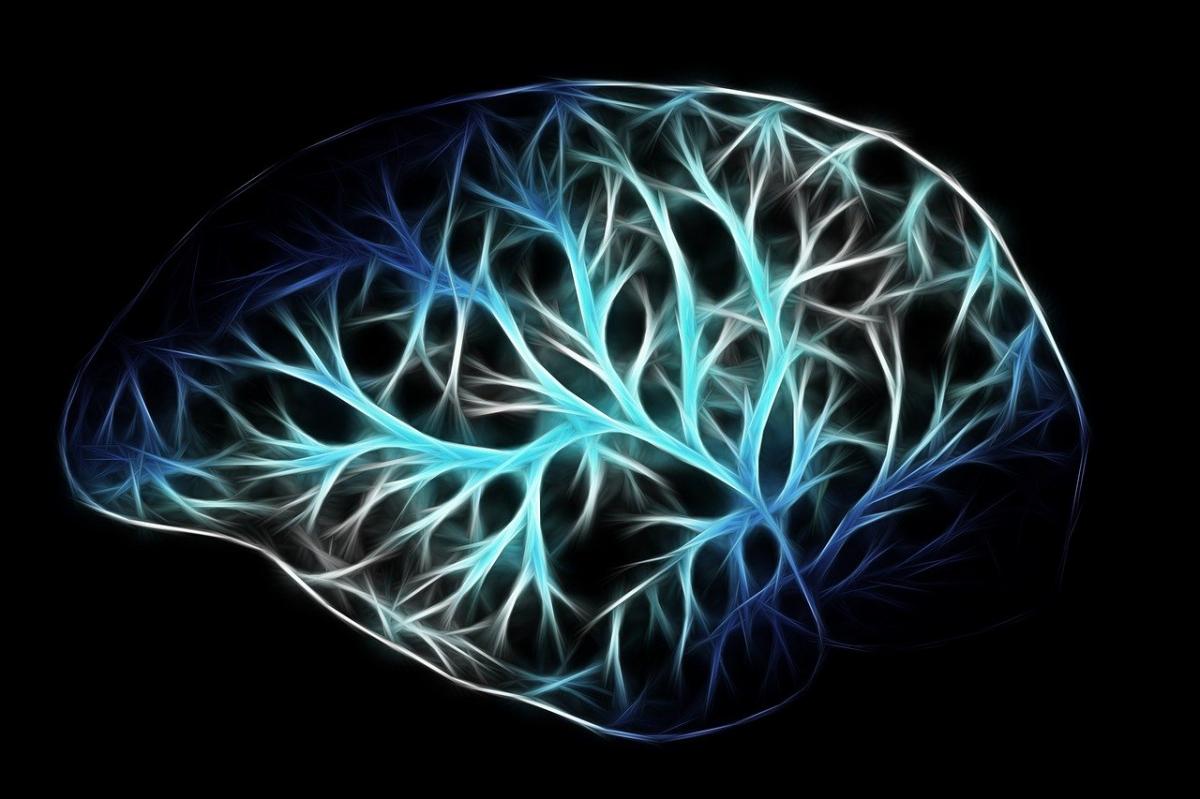 CBD: Ensayos clínicos cómo mejora el flujo sanguíneo al cerebro