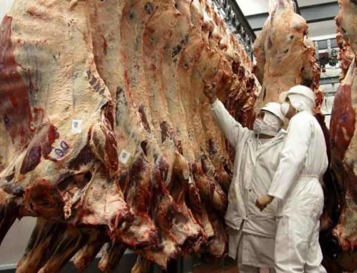El Gobierno lanza el Plan Ganadero en medio de la fricción con los productores