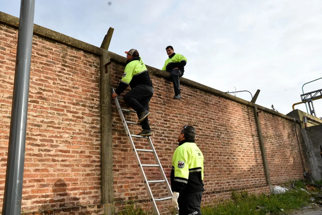 El muro de Clarín no tiene quién lo derribe