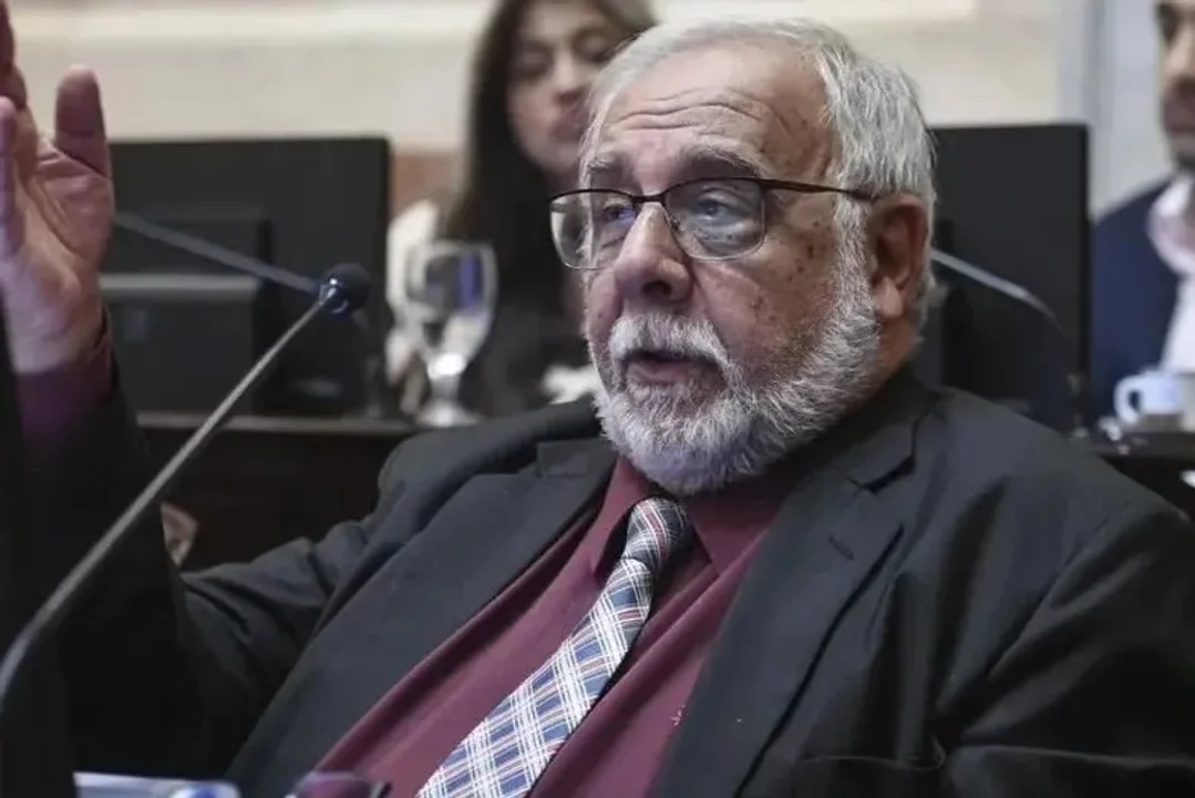 “Le tengo asco al kirchnerismo”: Así piensa el responsable de la Bicameral que analizará el DNU