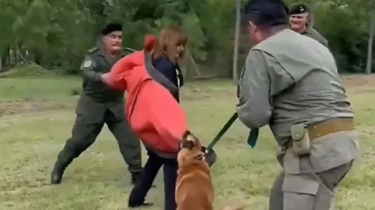 Otro bochorno de Bullrich: quiso hacer una demostración con un perro y la tuvieron que socorrer