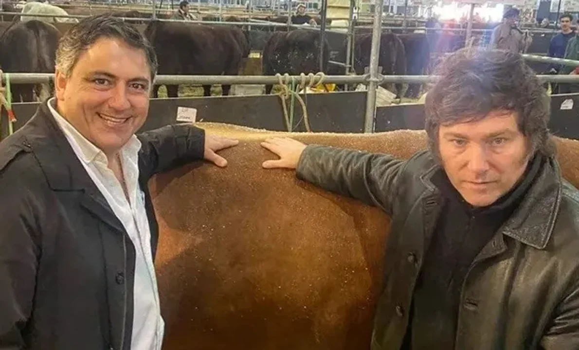 Un senador libertario cuestionó los femicidios y pidió hablar del "masculinicidio"